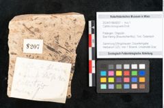 Foto (Objekt + Etikett) von Callitris brongniartii Endl. (NHMW-GEO-2024-0188-8207)